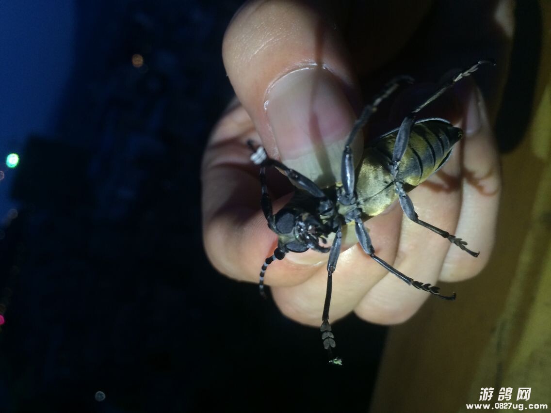 QQ图片20140721110213.jpg
