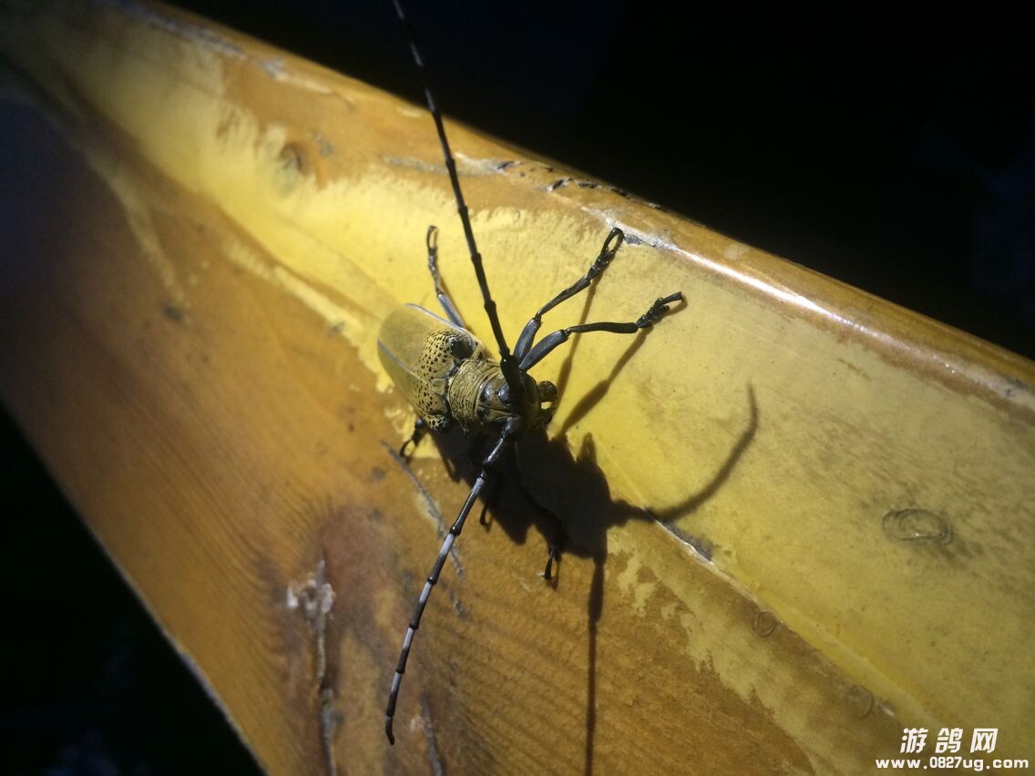 QQ图片20140721110216.jpg