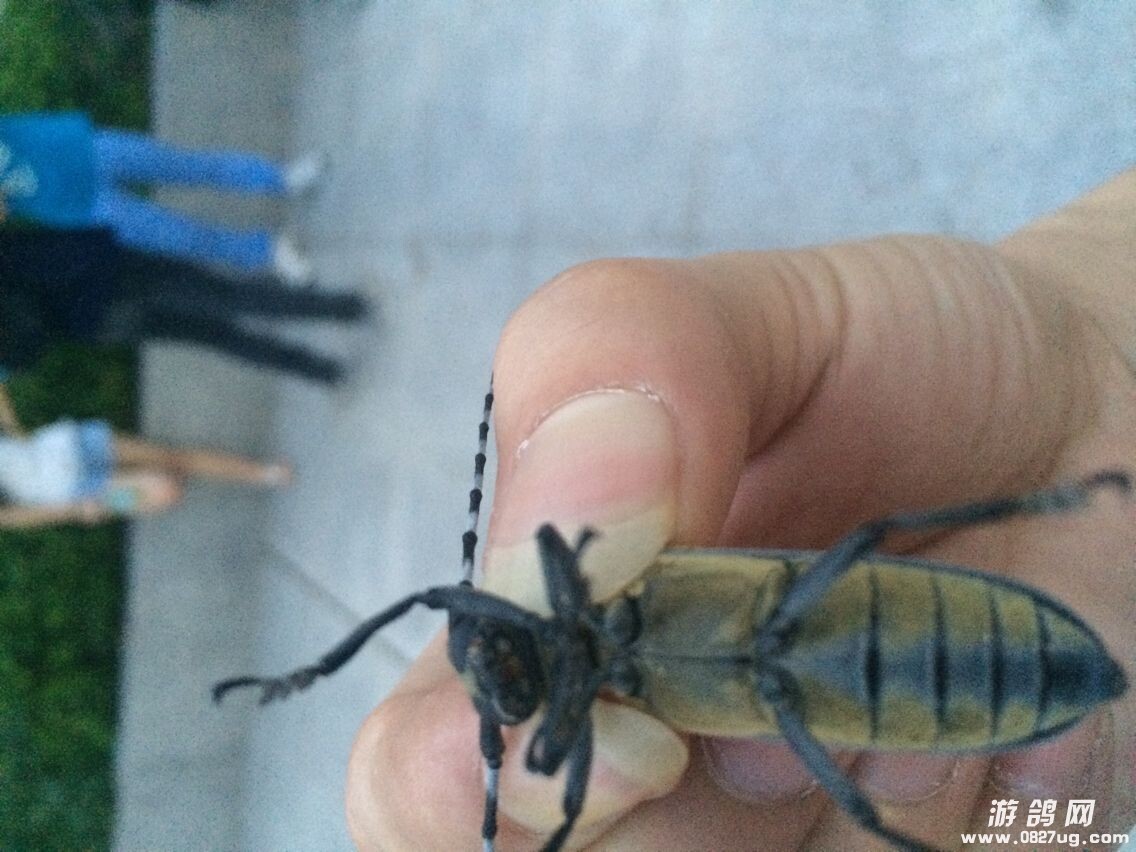 QQ图片20140721110206.jpg