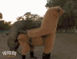 701168.gif