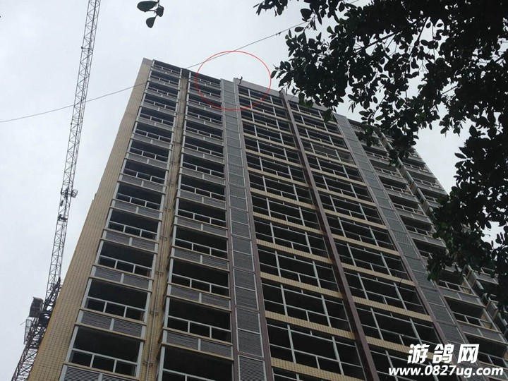 QQͼƬ20140822144941.jpg