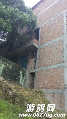 460.jpg