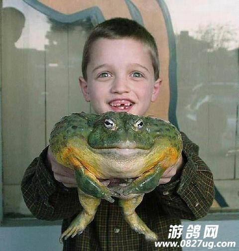 555.jpg