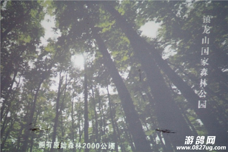ƽ 017.jpg