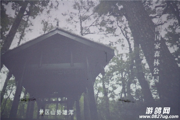 ƽ 019.jpg