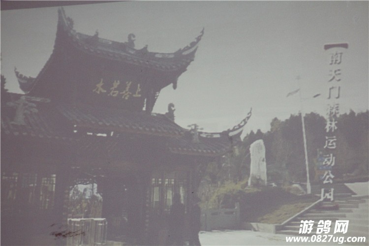 ƽ 021.jpg