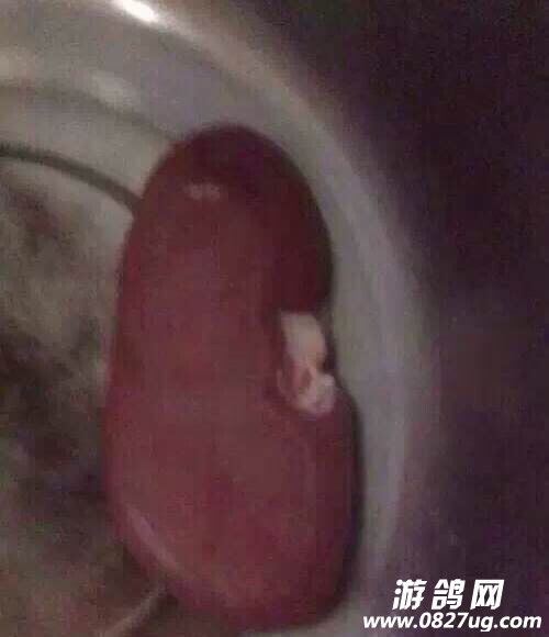 QQͼƬ20140910161602.jpg