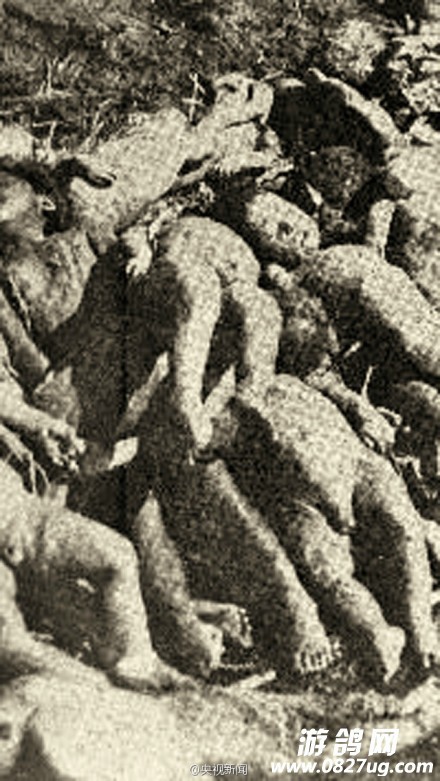 154252e1y8jgeggjr6zjey_副本.jpg