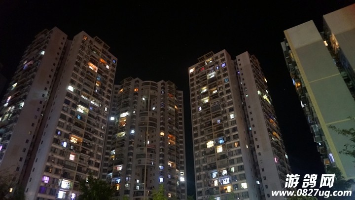 DSC06823_.jpg