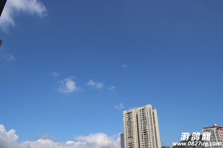 Ƭ 004_.jpg