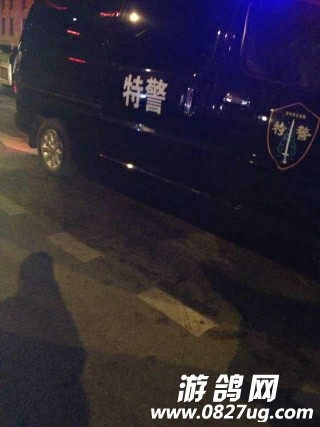 232942q7zkuq1pfpukvf5q.jpg