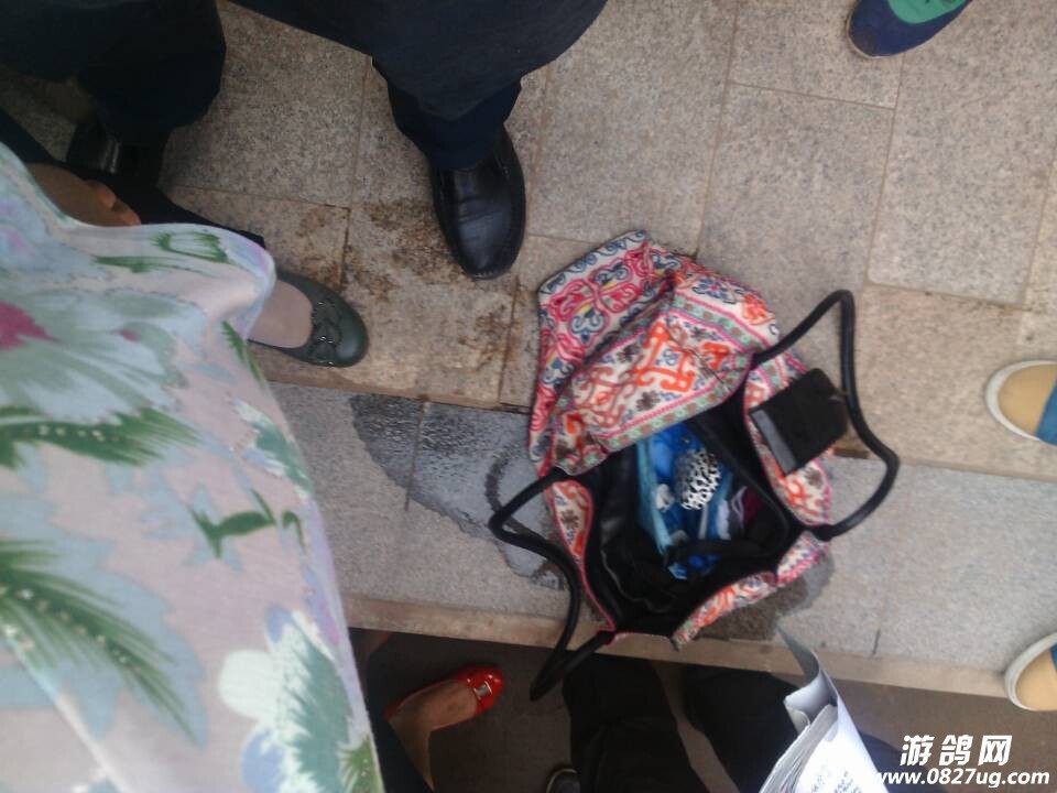 QQͼƬ20141011124130.jpg