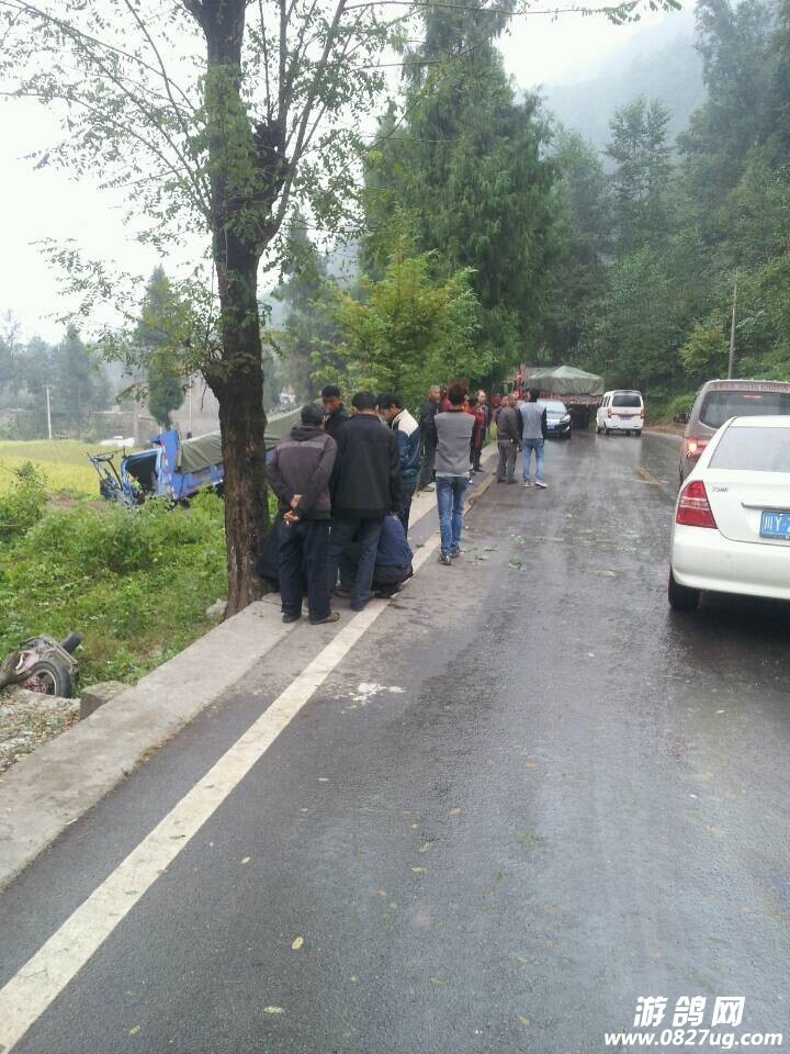 QQͼƬ20141015143406.jpg