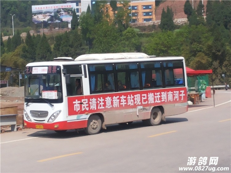 555.jpg