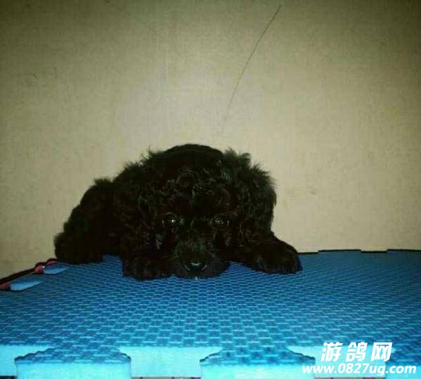 093245b0gb0z2x830n3vnv.jpg
