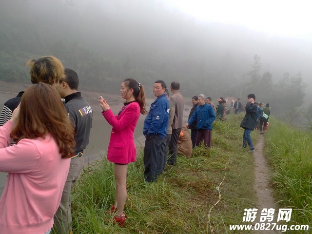 100740m4p8352mtqsui85i.jpg