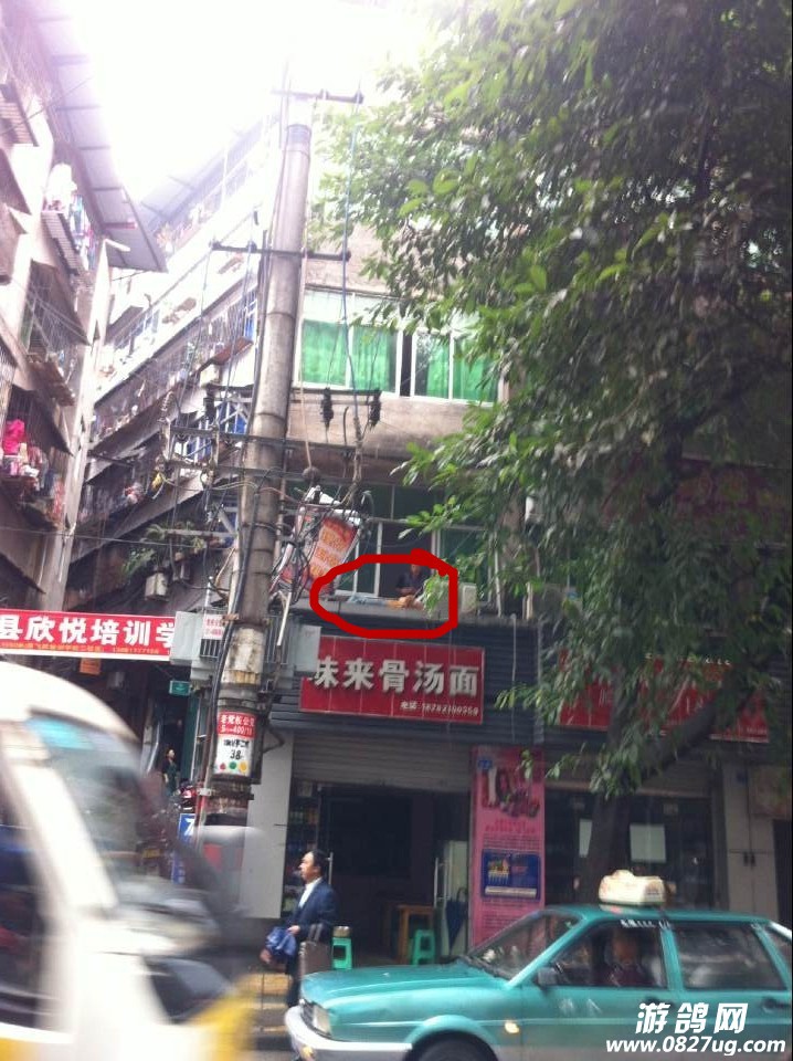QQͼƬ20141028101331.jpg