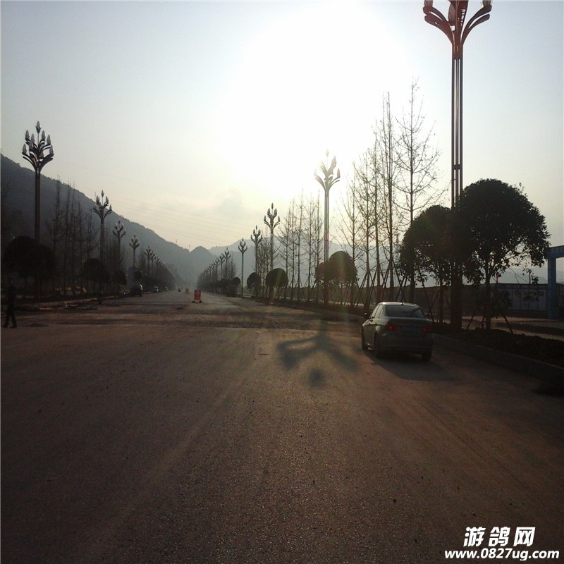 20141025_164112.jpg