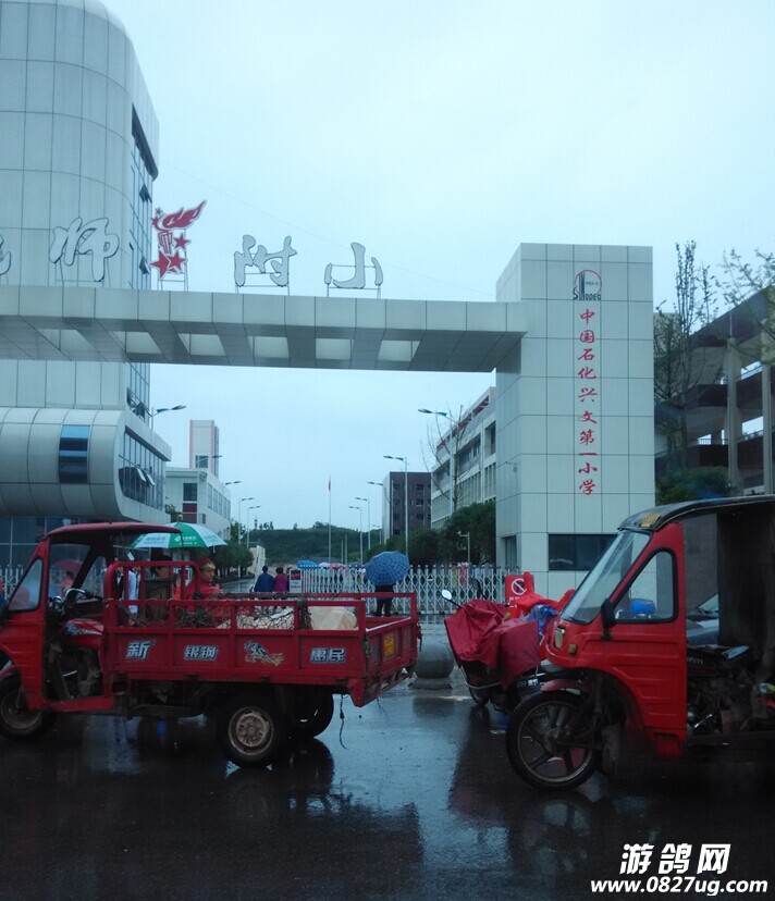 QQͼƬ20141103194257.jpg