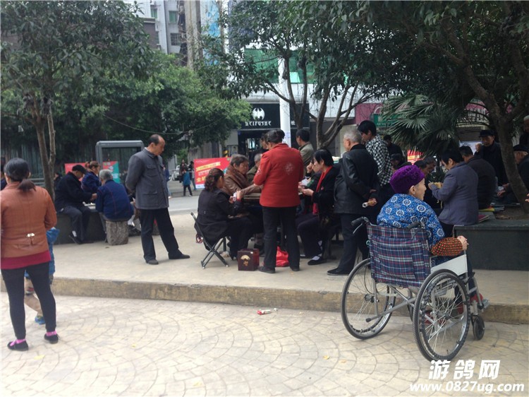 QQ图片20141107094817.jpg