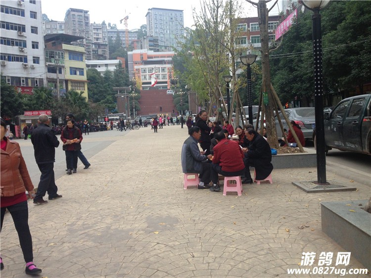 QQ图片20141107094823.jpg