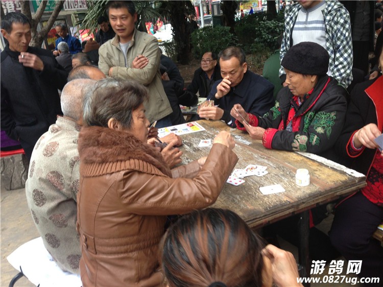 QQ图片20141107094826.jpg
