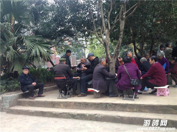QQ图片20141107094829.jpg