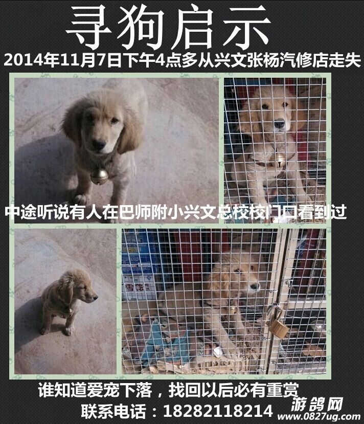 QQͼƬ20141108003930.jpg