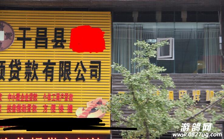 QQͼ20141111115954.png