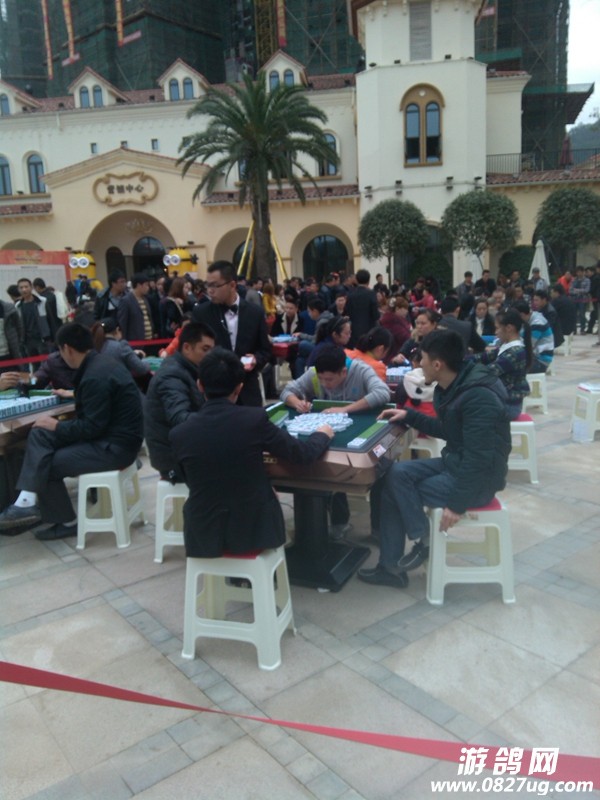 IMG_20141115_140441.jpg