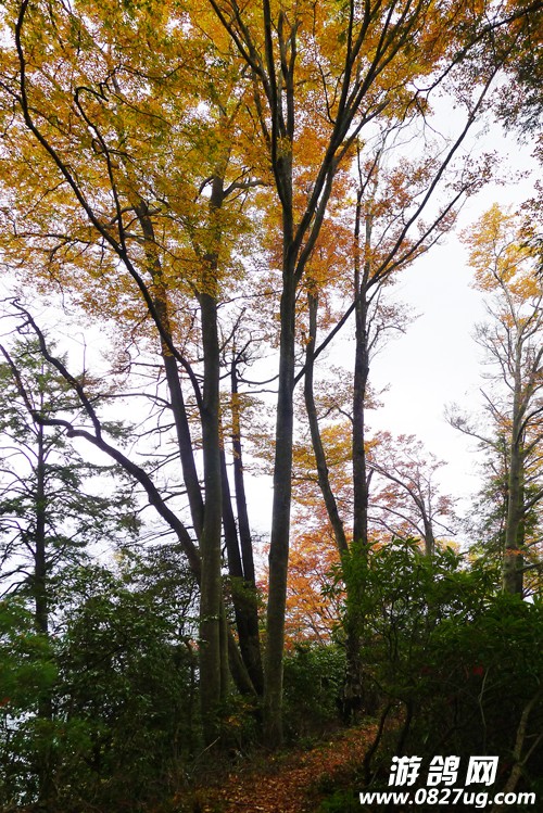 2014111874558128.jpg
