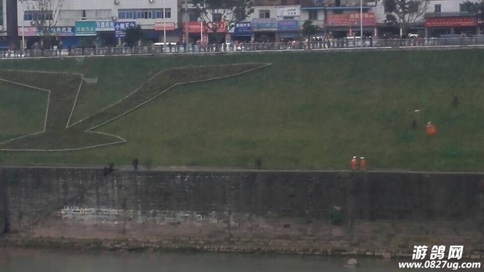 QQͼƬ20141127132250.jpg