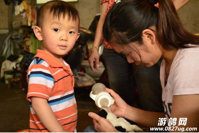 QQ截图20141204101209.png