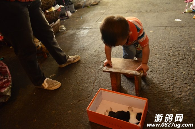 QQ截图20141204101227.png