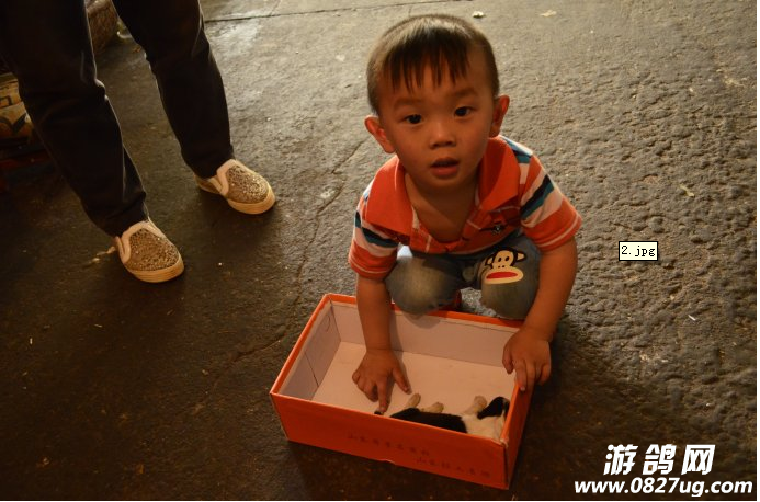 QQ截图20141204101236.png