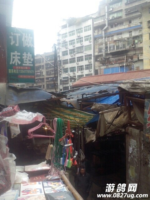 160004ckyqip93350hlsrk.jpg