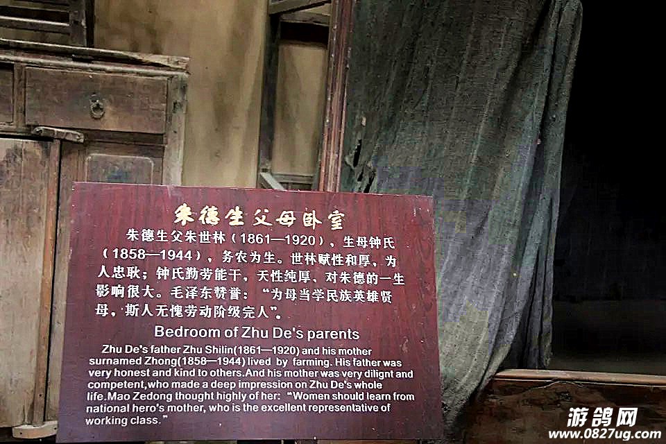 24_.jpg