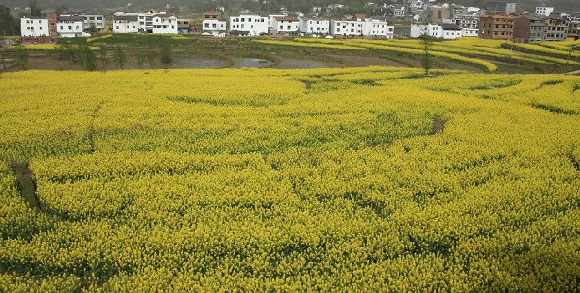 201332318320481.jpg