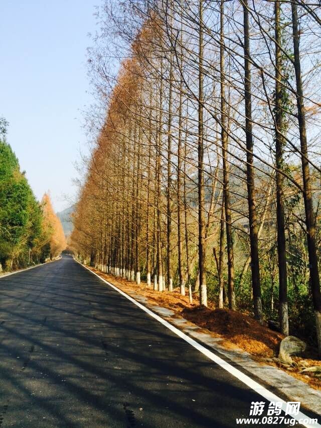 QQͼƬ20141213120345.jpg