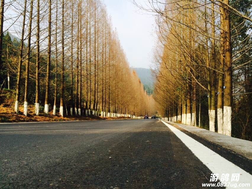 QQͼƬ20141213120341.jpg
