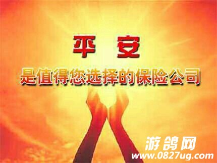 175217h1ibl50q771lgl35.jpg