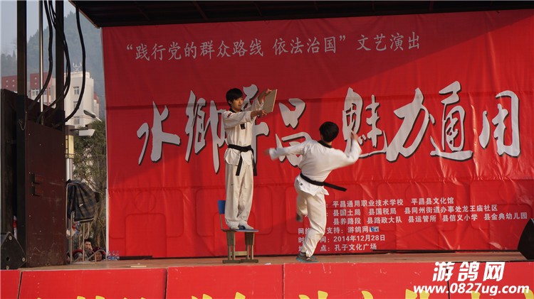 DSC08254.JPG