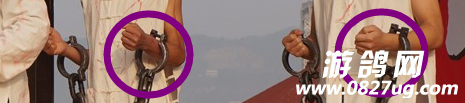 QQ截图20141229205749.png