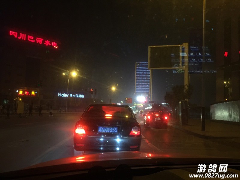 203751zp6gvv01cdbvpc1b.jpg