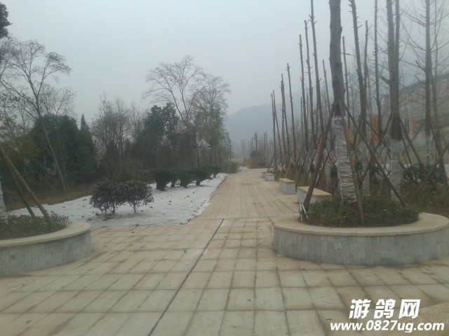 20141231_101011.jpg