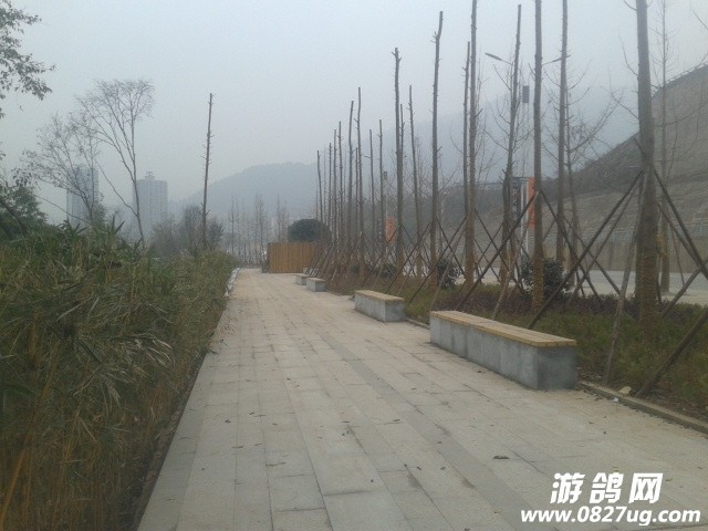 20141231_101134.jpg