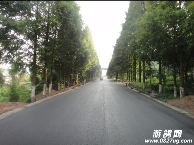 201096105616633.jpg
