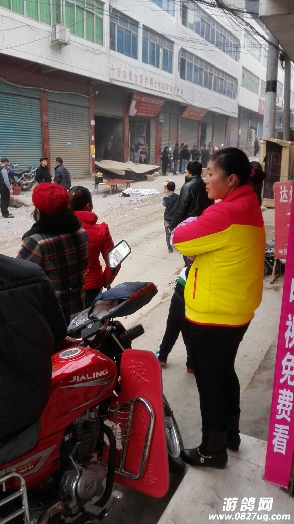 102245gfx4bjqm8j4iomo4.jpg