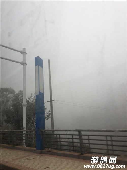 QQͼƬ20150112101116.jpg