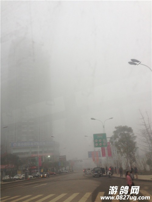 QQͼƬ20150112101126.jpg
